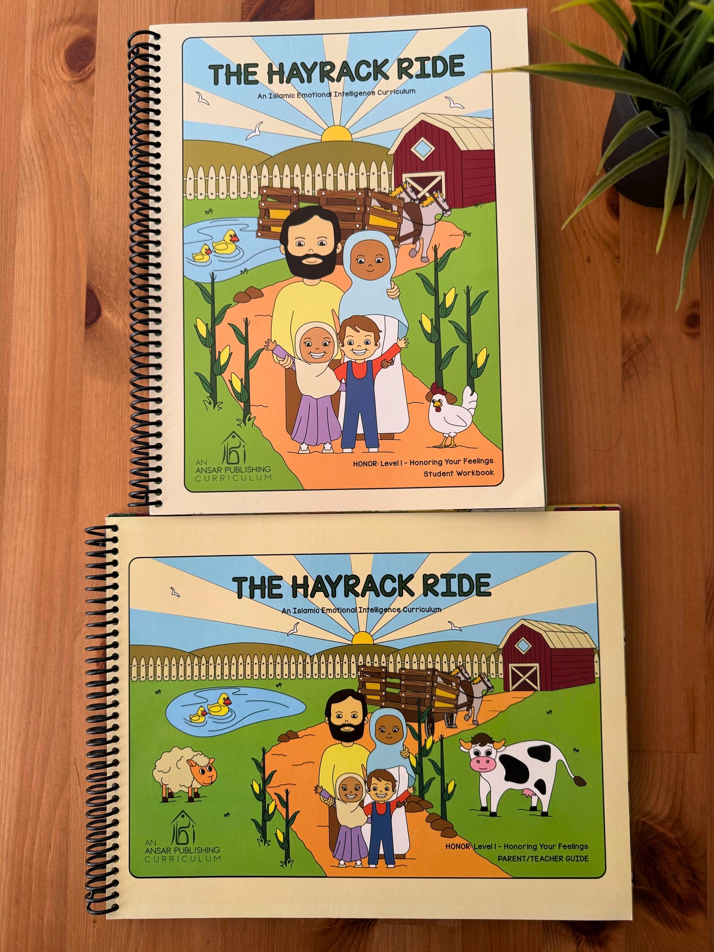 The Hayrack Ride: An Islamic Emotional Intelligence Curriculum (Parent/Teacher Guide & Student Workbook Bundle)
